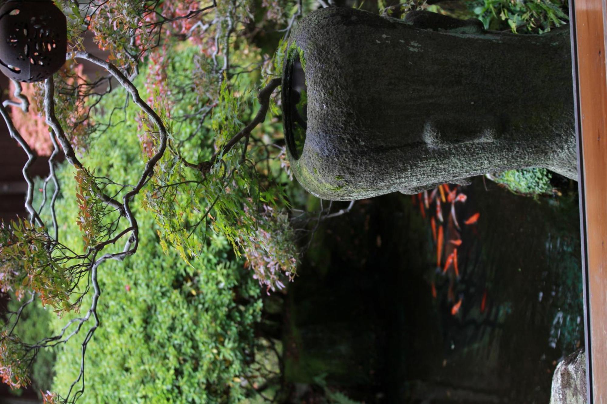 Ryokan Kaminaka Такаяма Екстериор снимка